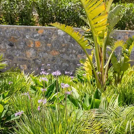 Istia Luxury Karpathos