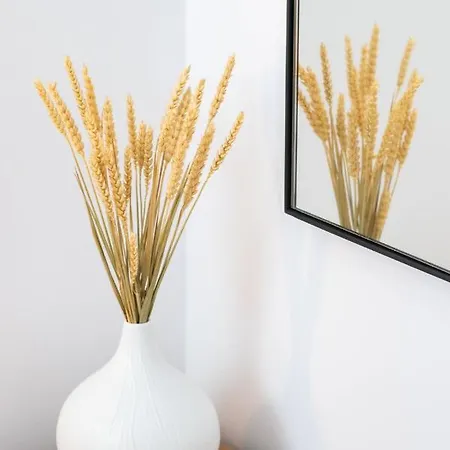 Istia Luxury Villa *