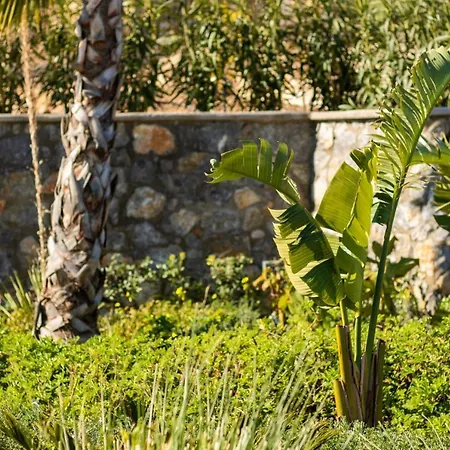 Villa Istia Luxury *