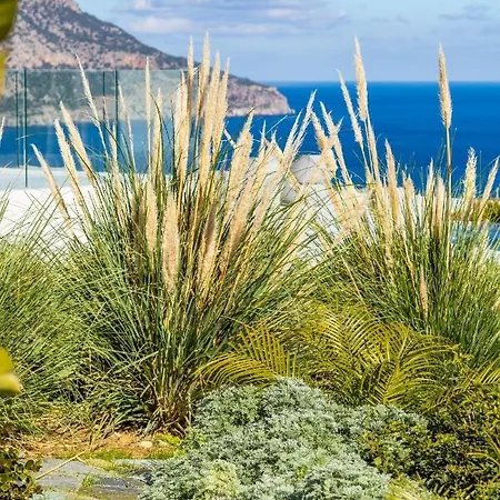 Villa Istia Luxury *