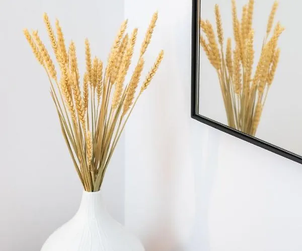 Istia Luxury Villa *