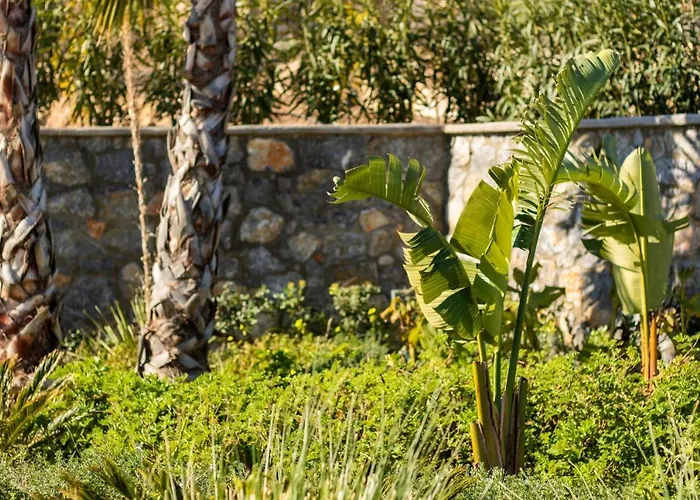 Villa Istia Luxury *